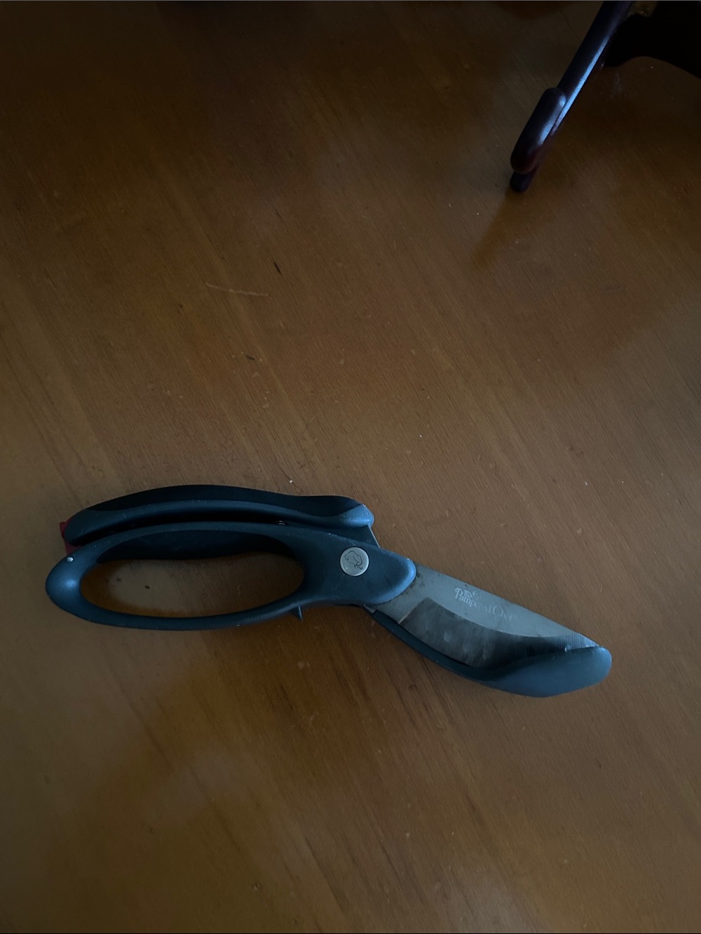 Pamper Chef Salad Scissors